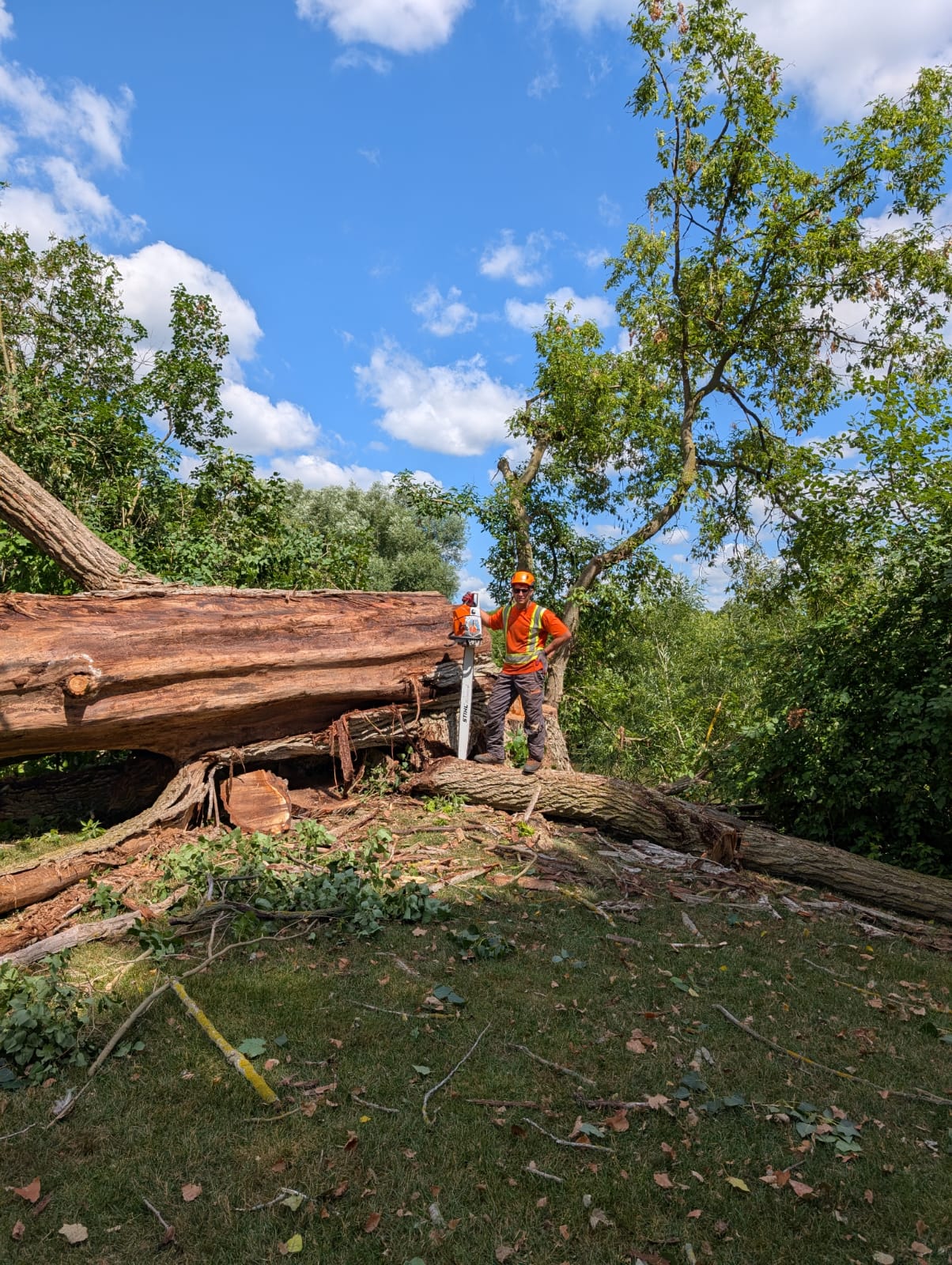 Professional tree care equipment