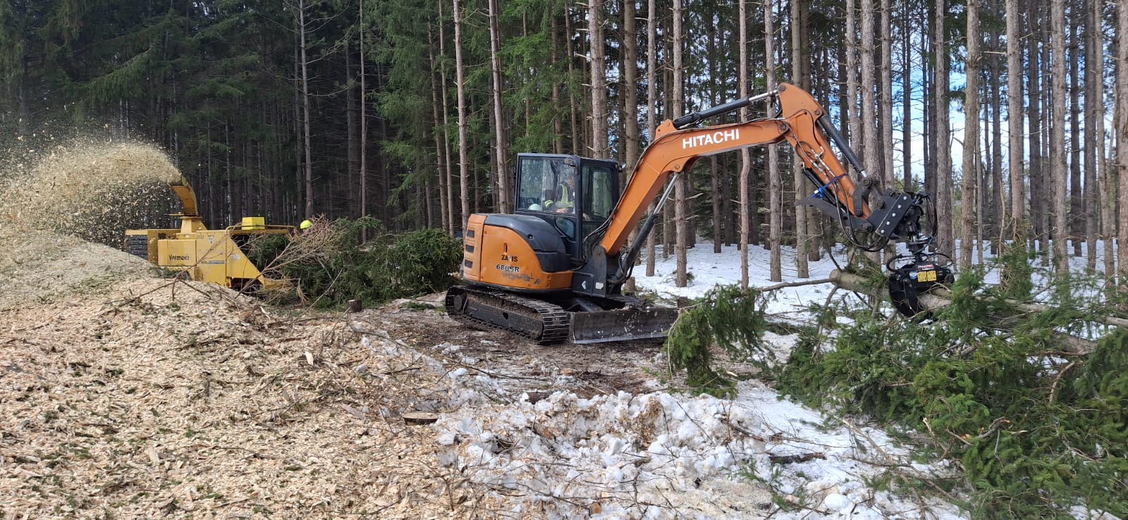 Crane tree removal