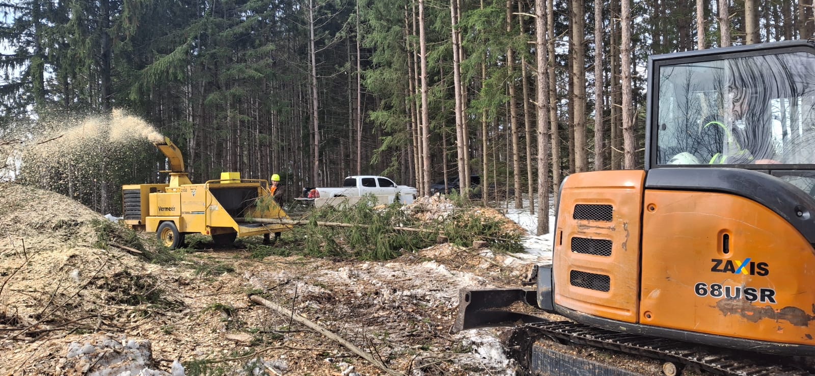 Tree removal process